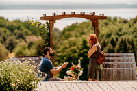 Zeid_Proposes_to_Heather@Chateau_Chantal-05078