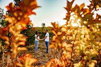 Sleeping Bear Point Trail Engagement Session-07753