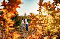 Sleeping Bear Point Trail Engagement Session-07765