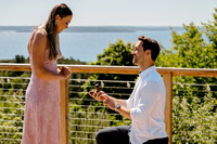 Spencer Proposes-1134